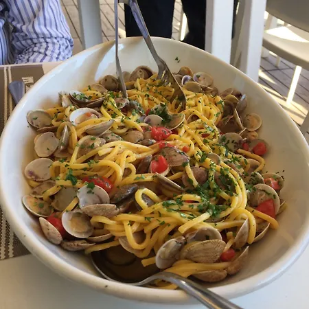 מלון Gaby